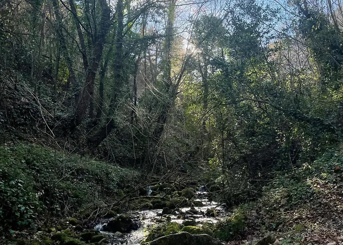 Appartamento Casa Sul - Glicine - Parco Della Majella Civitella Messer Raimondo